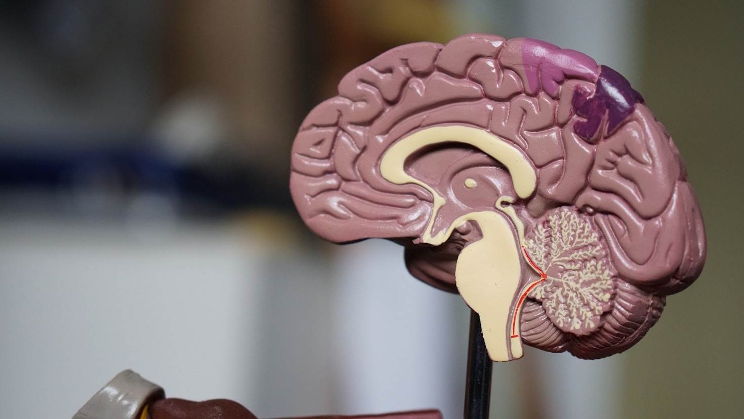 How to Support a Loved One Facing a Brain Tumor