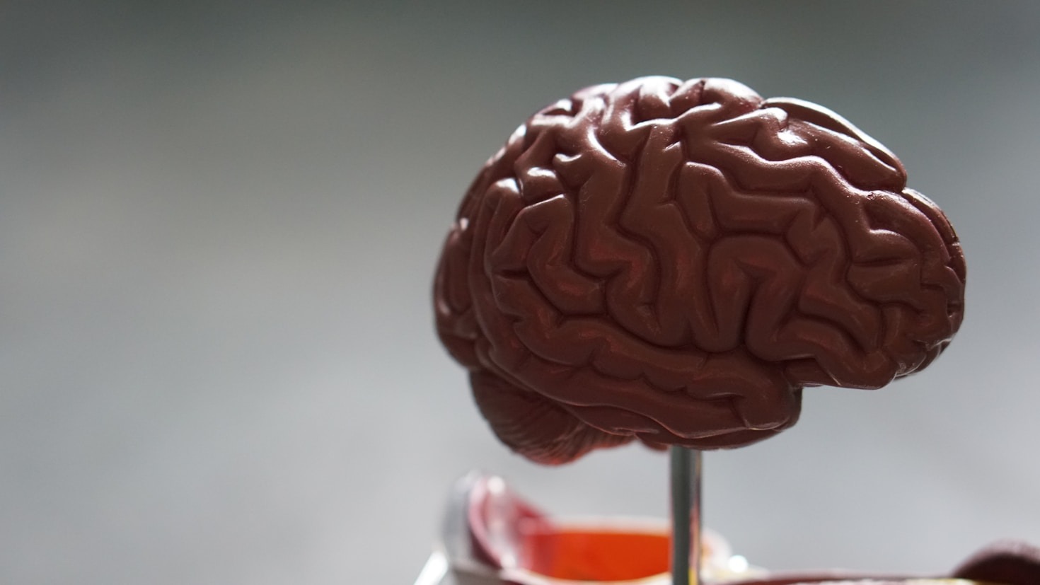 Advances in Brain Tumor Treatment Options